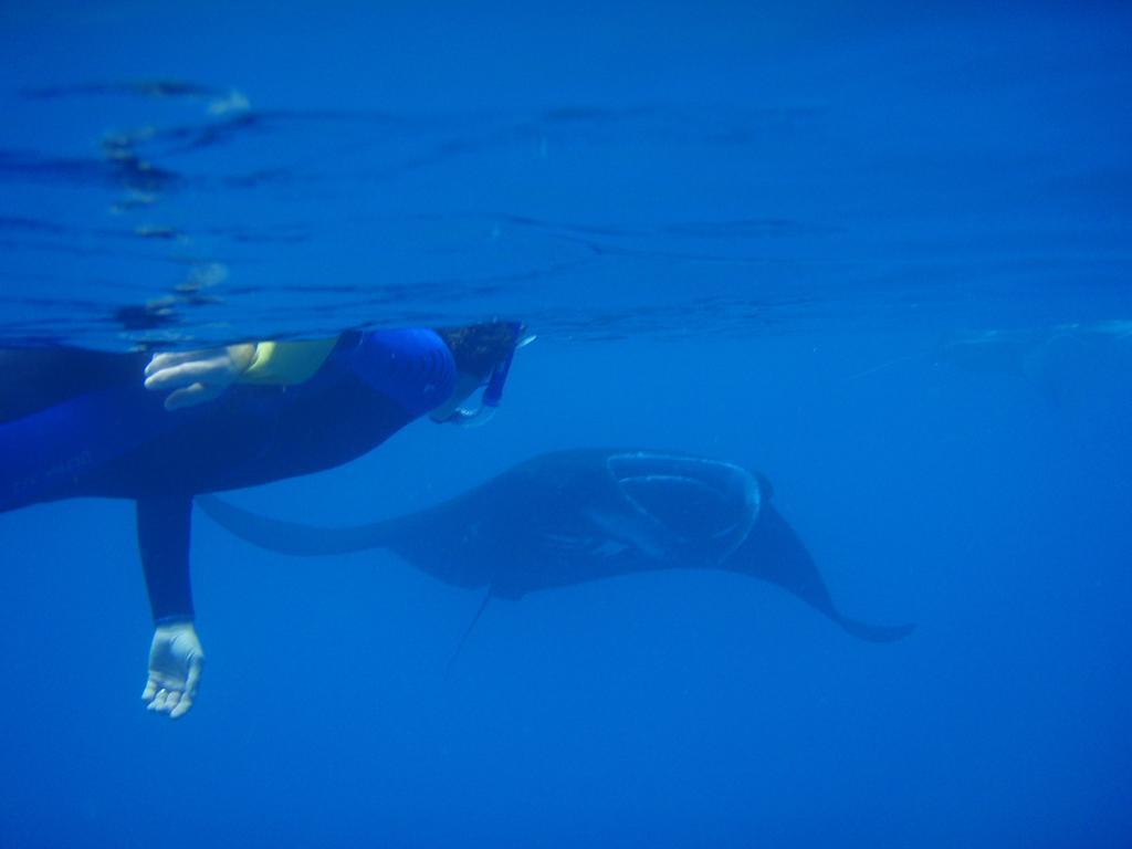 Naqara Mai Dive' Astrolabe Reef Resort מראה חיצוני תמונה