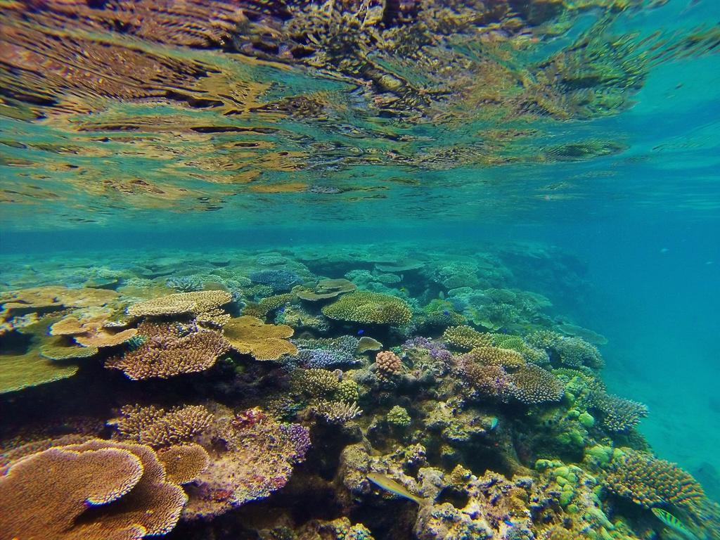 Naqara Mai Dive' Astrolabe Reef Resort מראה חיצוני תמונה